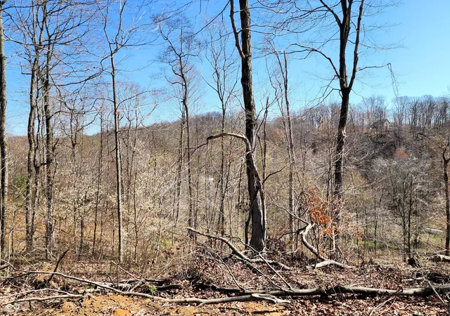 Photo 3 of Land for sale at 0 Goat Holw Ests Lot 1, Martinsville, IN 46151 | MLS# 22002043 | Listing updated on 2026-09-10