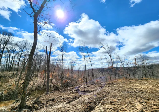 Photo 4 of Land for sale at Lot 2 Goat Holw Ests Rd, Martinsville, IN 46151 | MLS# 22025431 | Listing updated on 2026-09-10