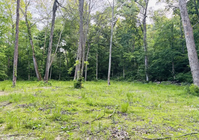 Photo 1 of Land for sale at 0 Laurel Rd, Laurel, IN 47024 | MLS# 22043045 | Listing updated on 2026-09-14