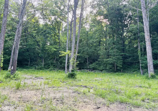 Photo 3 of Land for sale at 0 Laurel Rd, Laurel, IN 47024 | MLS# 22043045 | Listing updated on 2026-09-14