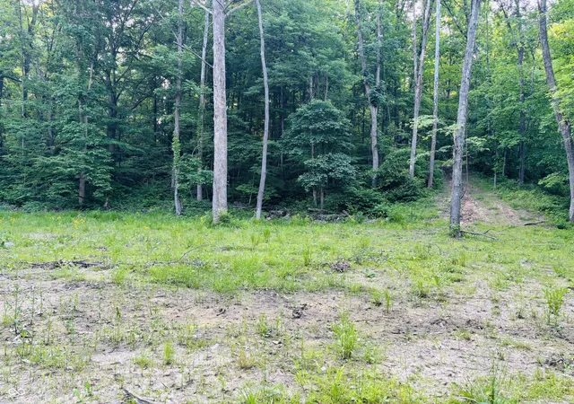 Photo 4 of Land for sale at 0 Laurel Rd, Laurel, IN 47024 | MLS# 22043045 | Listing updated on 2026-09-14