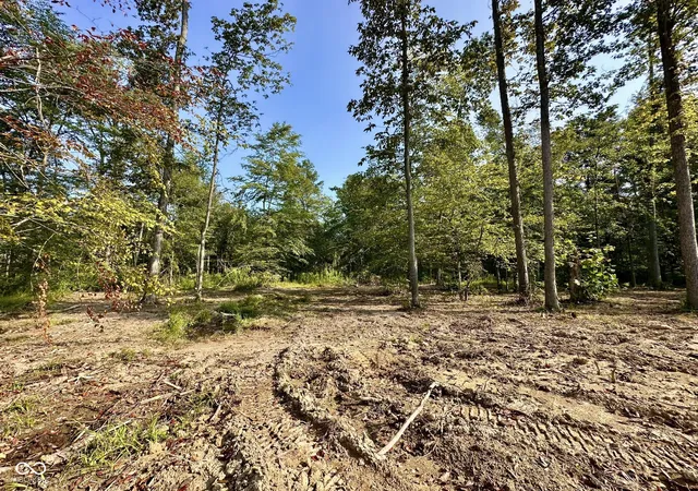 Photo 1 of Land for sale at Tract W A Private Rd 775 S, Commiskey, IN 47227 | MLS# 22116376 | Listing updated on 2026-09-10