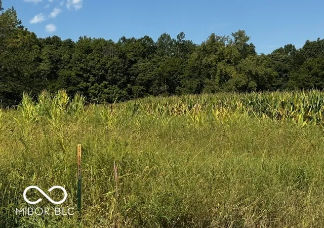 Photo 2 of Land for sale at Lot N #1 100 W, Perrysville, IN 47974 | MLS# 22124611 | Listing updated on 2026-09-15