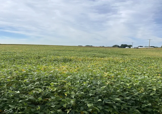 Photo 3 of Land for sale at 2815 N Us 231 Hwy, Greencastle, IN 46135 | MLS# 22124789 | Listing updated on 2026-09-09