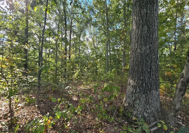 Photo 3 of Land for sale at 4332 N State Rd 135, Freetown, IN 47235 | MLS# 22125493 | Listing updated on 2026-09-11