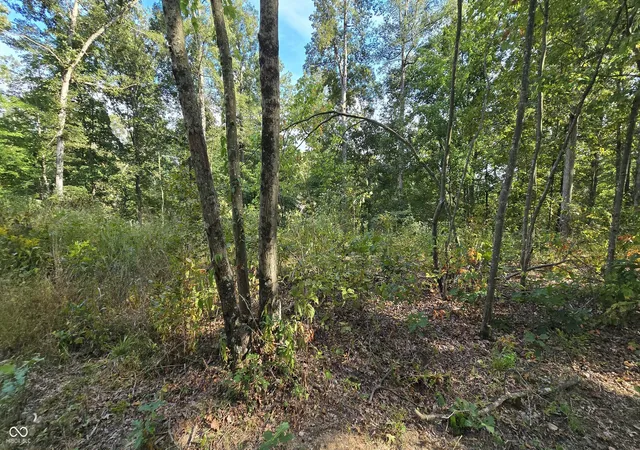 Photo 4 of Land for sale at 4332 N State Rd 135, Freetown, IN 47235 | MLS# 22125493 | Listing updated on 2026-09-11