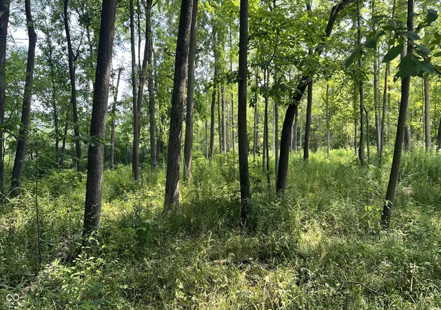 Photo 3 of Land for sale at 3259 Mabel St, Indianapolis, IN 46234 | MLS# 22125772 | Listing updated on 2026-09-21