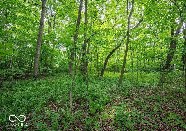 Photo 4 of Land for sale at 3259 Mabel St, Indianapolis, IN 46234 | MLS# 22125772 | Listing updated on 2026-09-21