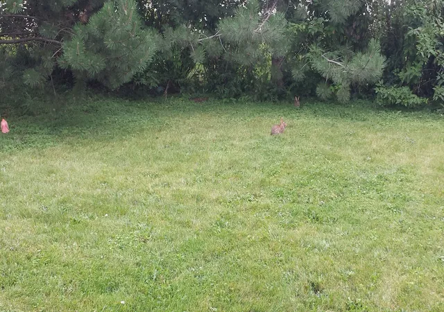 Photo 1 of Land for sale at 3216 Potter Rd, Glenview, IL 60026 | MLS# 12639477 | Listing updated on 2026-09-14