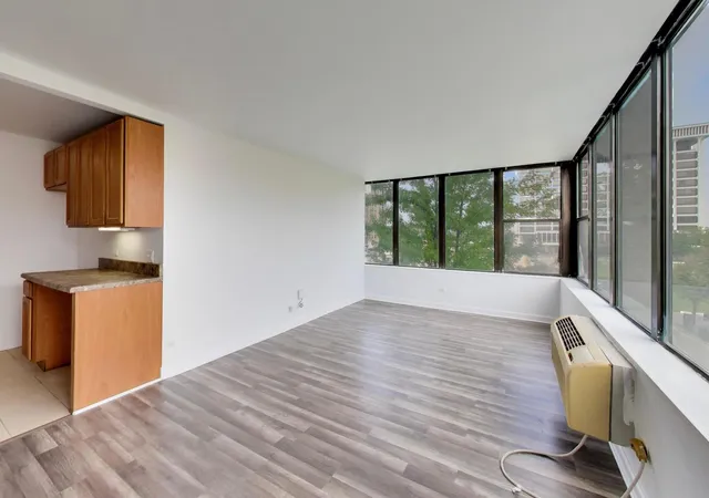 Listing Photo 5 - Condo for sale in building located at 345 E Eastgate Pl, Chicago, IL 60616 - Unit #302
