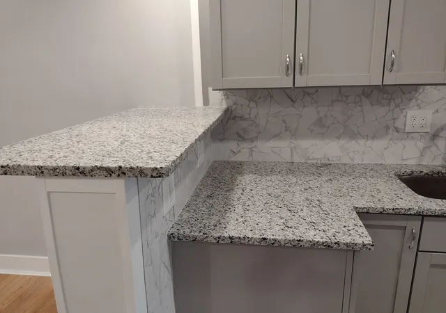 Listing Photo 5 - Condo for sale in building located at 651 S Blvd, Oak Park, IL 60302 - Unit #5