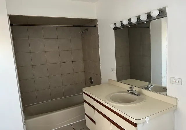 Listing Photo 4 - Condo for sale in building located at 3041 S Lowe Ave, Chicago, IL 60616