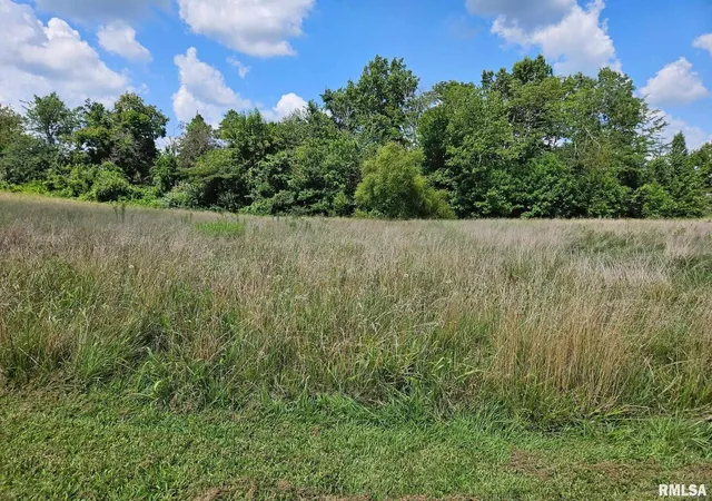 Photo 2 of Land for sale at 000 Jenna Ln, West Frankfort, IL 62896 | MLS# EB459390 | Listing updated on 2026-10-06