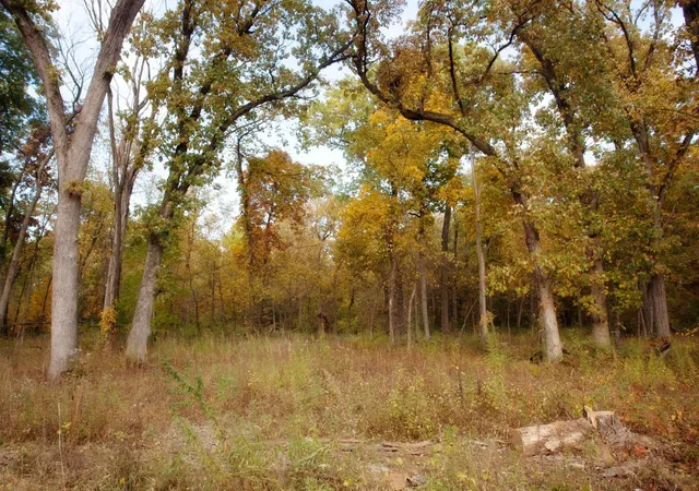 Photo 1 of Sale Pending at 3865 Lot 86 166th Ln, Lowell, IN 46356 | MLS# 538296 | Listing updated on 2026-09-11