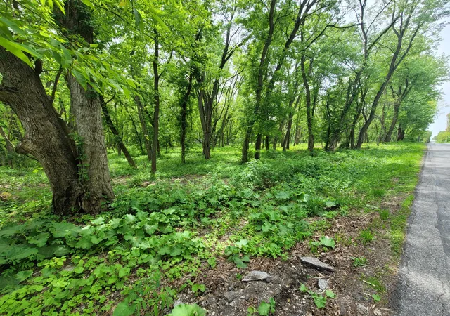Photo 3 of Land for sale at 594 W Division Rd, Valparaiso, IN 46385 | MLS# 839063 | Listing updated on 2026-09-11