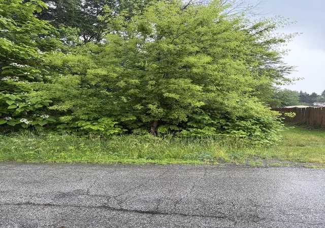 Photo 1 of Land for sale at 100 Garfield Ave, Hobart, IN 46342 | MLS# 840795 | Listing updated on 2026-09-14