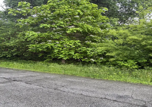 Photo 2 of Land for sale at 100 Garfield Ave, Hobart, IN 46342 | MLS# 840795 | Listing updated on 2026-09-14