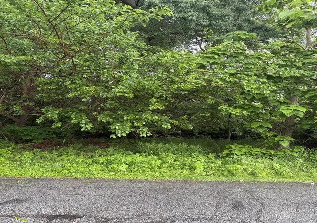 Photo 3 of Land for sale at 100 Garfield Ave, Hobart, IN 46342 | MLS# 840795 | Listing updated on 2026-09-14