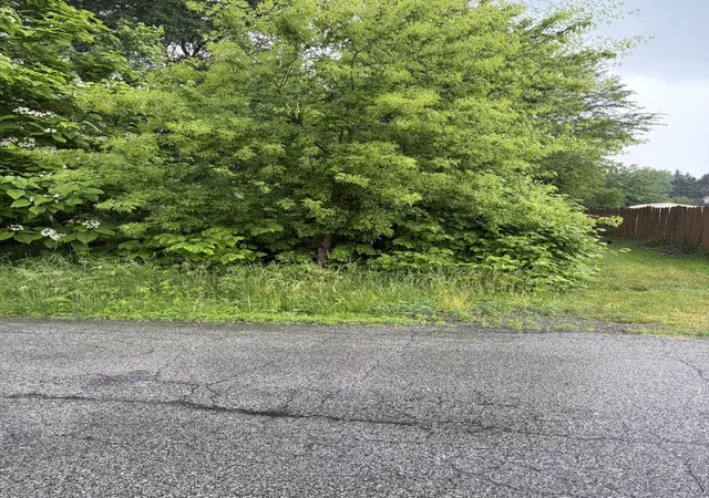 Photo 4 of Land for sale at 100 Garfield Ave, Hobart, IN 46342 | MLS# 840795 | Listing updated on 2026-09-14