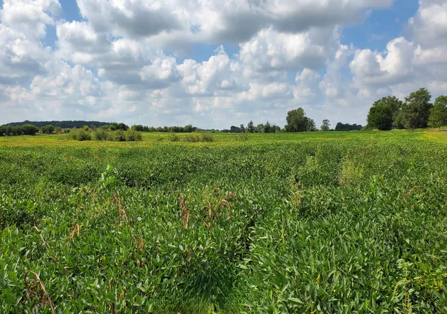Photo 1 of Land for sale at 000 N County Rd 200 W, Rensselaer, IN 47978 | MLS# 844844 | Listing updated on 2026-09-14