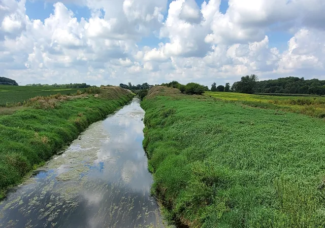 Photo 2 of Land for sale at 000 N County Rd 200 W, Rensselaer, IN 47978 | MLS# 844844 | Listing updated on 2026-09-14