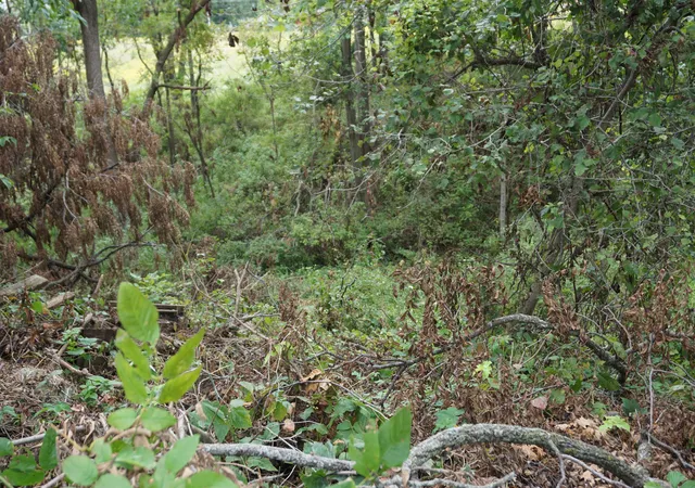 Photo 3 of Land for sale at 410 S Wabash St, Hobart, IN 46342 | MLS# 845121 | Listing updated on 2026-09-10