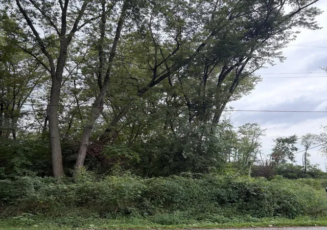 Photo 3 of Land for sale at 0 Lauerman Rd, Cedar Lake, IN 46303 | MLS# 845183 | Listing updated on 2026-10-07