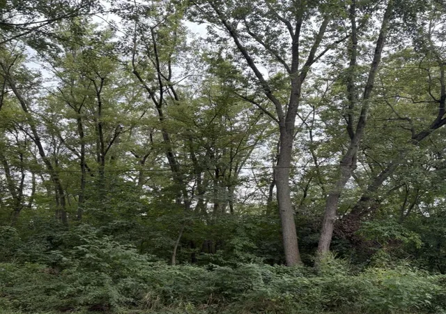 Photo 4 of Land for sale at 0 Lauerman Rd, Cedar Lake, IN 46303 | MLS# 845183 | Listing updated on 2026-10-07