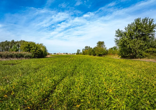 Photo 2 of Land for sale at 450 Us 6, Portage, IN 46368 | MLS# 845355 | Listing updated on 2026-09-15