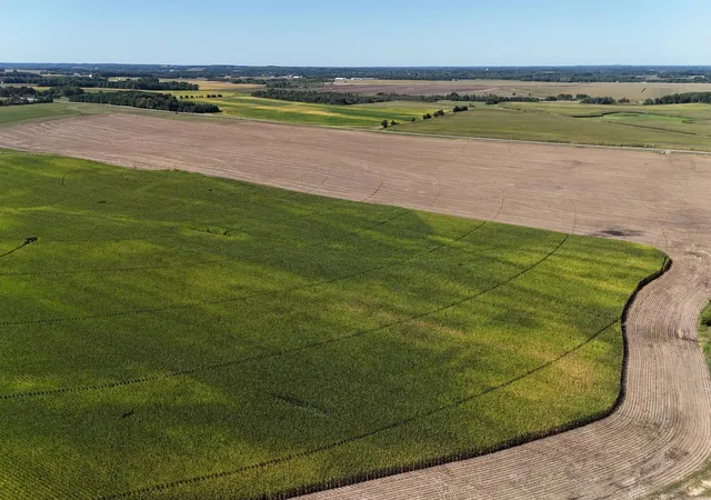 Photo 1 of Land for sale at 0000 County 61, Browerville, MN 56438 | MLS# 6695817 | Listing updated on 2026-09-23