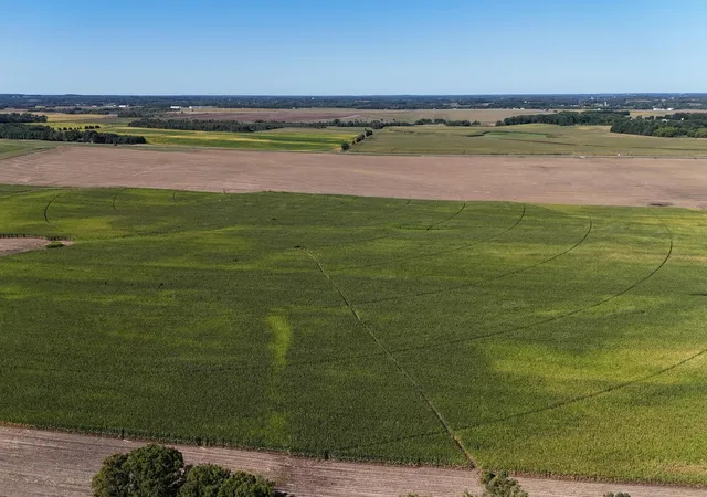 Photo 2 of Land for sale at 0000 County 61, Browerville, MN 56438 | MLS# 6695817 | Listing updated on 2026-09-23
