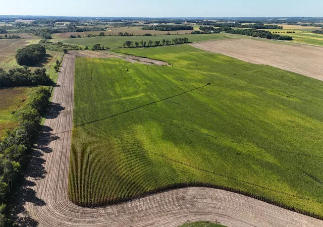 Photo 3 of Land for sale at 0000 County 61, Browerville, MN 56438 | MLS# 6695817 | Listing updated on 2026-09-23