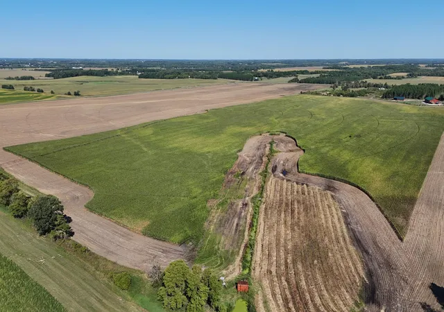 Photo 4 of Land for sale at 0000 County 61, Browerville, MN 56438 | MLS# 6695817 | Listing updated on 2026-09-23