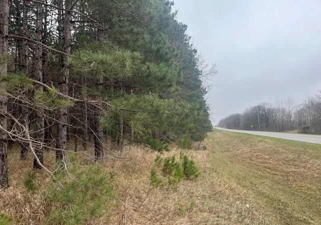 Photo 3 of Land for sale at Xxxxx Old 67 Rd, Henning, MN 56551 | MLS# 6711189 | Listing updated on 2026-09-14