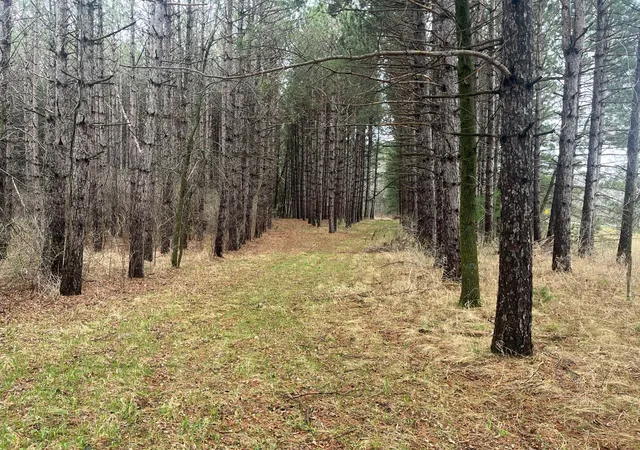 Photo 4 of Land for sale at Xxxxx Old 67 Rd, Henning, MN 56551 | MLS# 6711189 | Listing updated on 2026-09-14