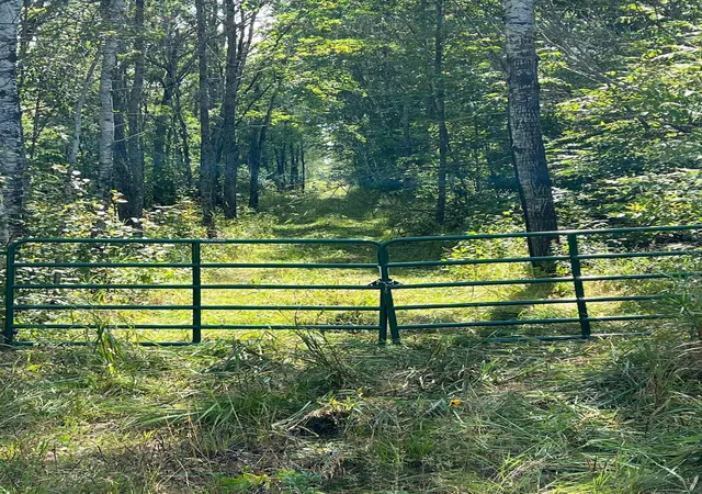 Photo 1 of Land for sale at Tbd W County Road 3, International Falls, MN 56669 | MLS# 6791696 | Listing updated on 2026-09-15