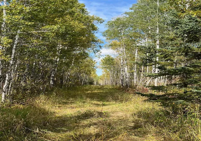 Photo 2 of Land for sale at Tbd W County Road 3, International Falls, MN 56669 | MLS# 6791696 | Listing updated on 2026-09-15