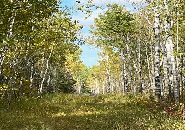 Photo 3 of Land for sale at Tbd W County Road 3, International Falls, MN 56669 | MLS# 6791696 | Listing updated on 2026-09-15