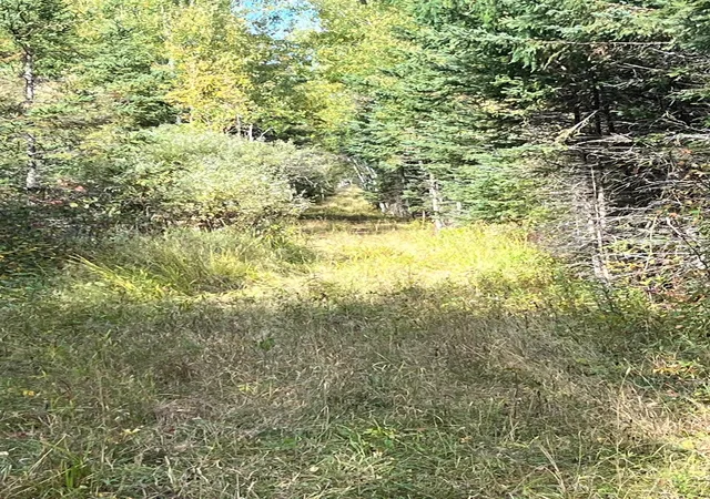 Photo 3 of Land for sale at Tbd W County Road 3, International Falls, MN 56669 | MLS# 6791696 | Listing updated on 2026-09-15