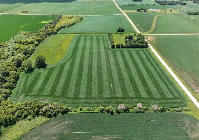 Photo 1 of Land for sale at Tbd 270th Avenue Sw, Hayfield, MN 55940 | MLS# 7006378 | Listing updated on 2026-09-14
