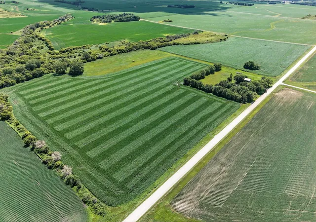 Photo 3 of Land for sale at Tbd 270th Avenue Sw, Hayfield, MN 55940 | MLS# 7006378 | Listing updated on 2026-09-14