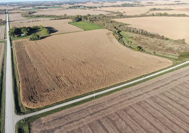 Photo 3 of Land for sale at Tbd 270th Avenue SW, Hayfield, MN 55940 | MLS# 7006378 | Listing updated on 2026-09-14