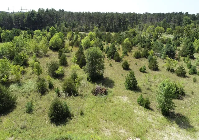 Photo 2 of Sale Pending at 2xxxx 174th Street Nw, Big Lake, MN 55309 | MLS# 7006867 | Listing updated on 2026-09-10
