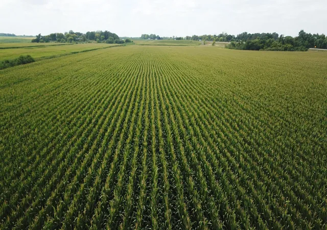Photo 4 of Land for sale at Tbd Hart Ave SW, Howard Lake, MN 55349 | MLS# 7024206 | Listing updated on 2026-09-22