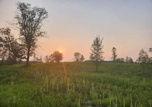 Photo 2 of Land for sale at 24793 Franklin Lake Rd, Pelican Rapids, MN 56572 | MLS# 7031286 | Listing updated on 2026-09-15