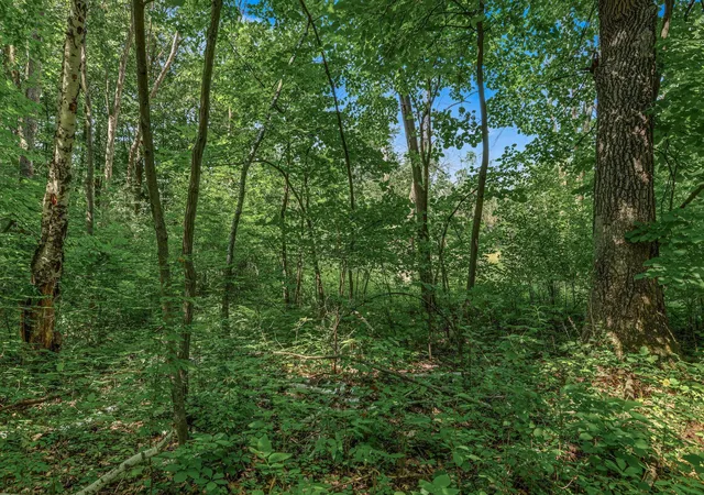 Photo 3 of Land for sale at 25179 Itasca Ave, Forest Lake, MN 55025 | MLS# 7040081 | Listing updated on 2026-09-10