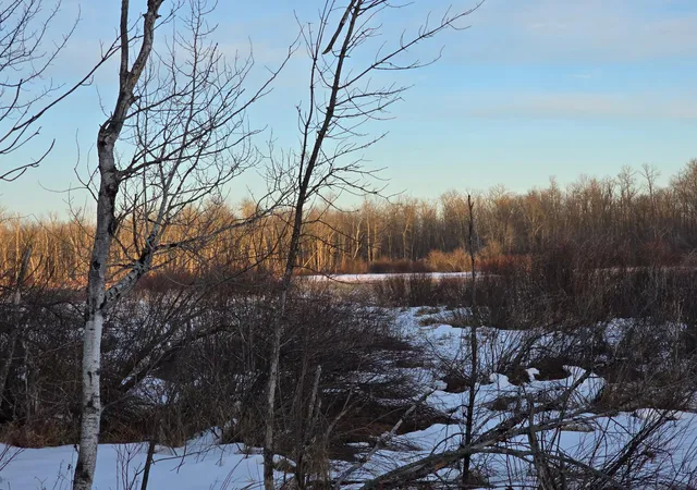 Photo 1 of Land for sale at Tbd Highway 47, Isle, MN 56342 | MLS# 7042403 | Listing updated on 2026-09-10