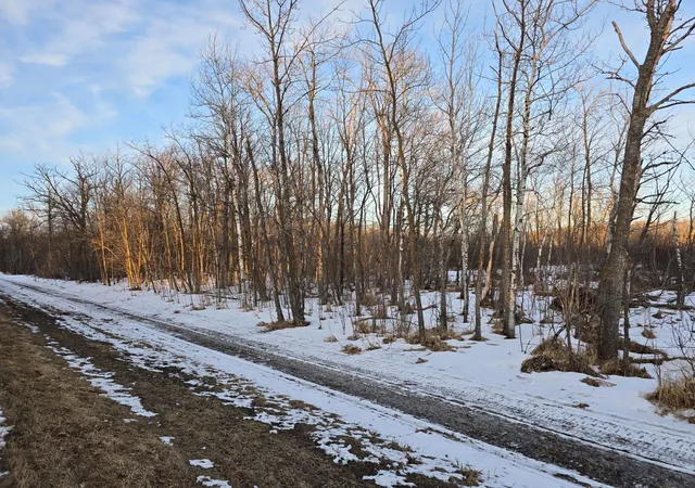 Photo 3 of Land for sale at Tbd Highway 47, Isle, MN 56342 | MLS# 7042403 | Listing updated on 2026-09-10