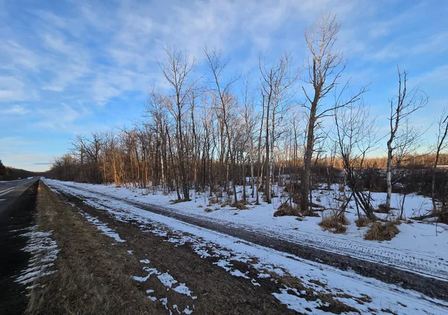 Photo 3 of Land for sale at Tbd Highway 47, Isle, MN 56342 | MLS# 7042403 | Listing updated on 2026-09-10