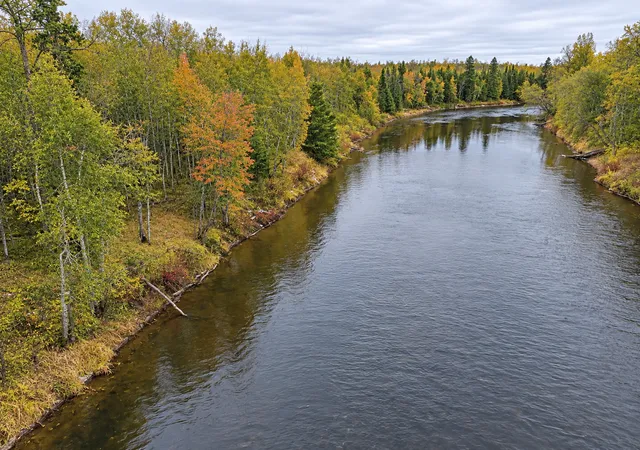 Land for sale at Tbd Highway 5, Effie, MN 56639 | MLS# 7047991
